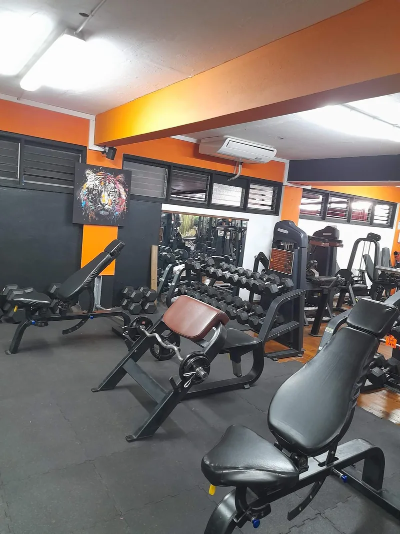 Zone de musculation libre avec haltères et barres olympiques chez SmartFitness